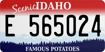 ID license plate E565024