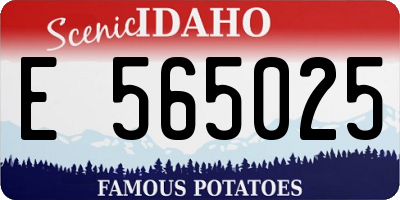 ID license plate E565025