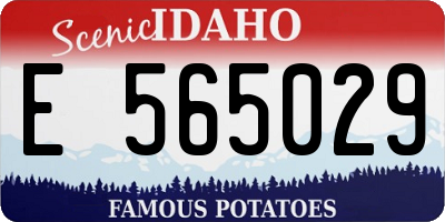 ID license plate E565029