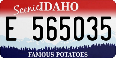 ID license plate E565035