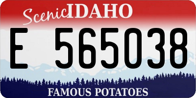 ID license plate E565038