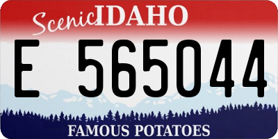 ID license plate E565044