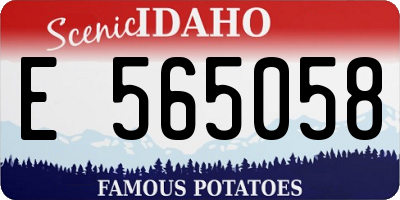 ID license plate E565058