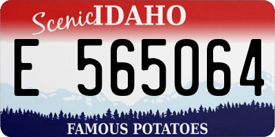 ID license plate E565064