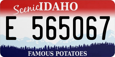 ID license plate E565067