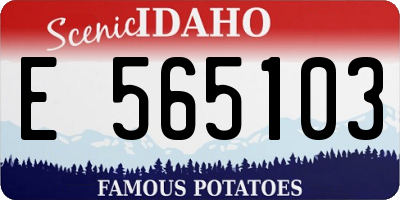 ID license plate E565103