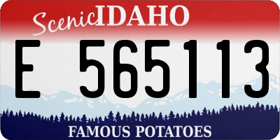 ID license plate E565113
