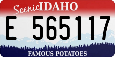 ID license plate E565117