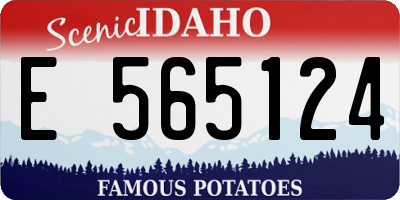 ID license plate E565124