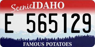 ID license plate E565129