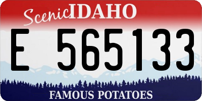 ID license plate E565133