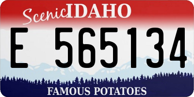 ID license plate E565134