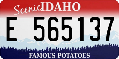 ID license plate E565137