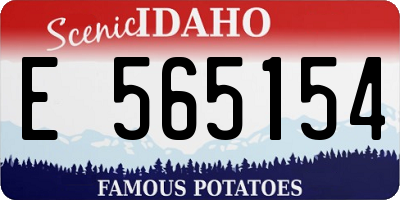 ID license plate E565154