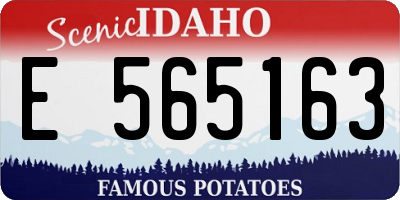 ID license plate E565163