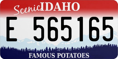 ID license plate E565165