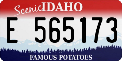 ID license plate E565173