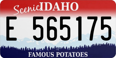 ID license plate E565175
