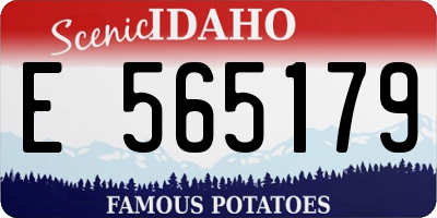 ID license plate E565179