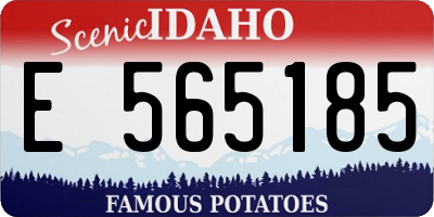 ID license plate E565185