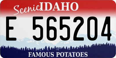 ID license plate E565204