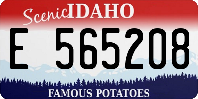 ID license plate E565208