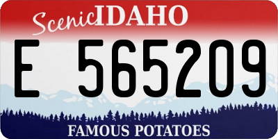 ID license plate E565209