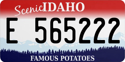 ID license plate E565222