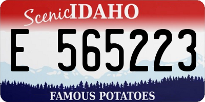 ID license plate E565223