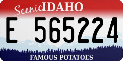ID license plate E565224