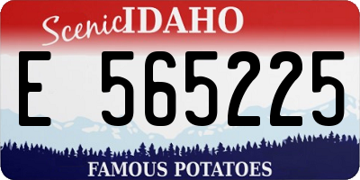 ID license plate E565225