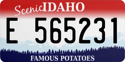 ID license plate E565231
