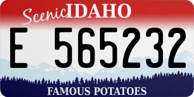 ID license plate E565232
