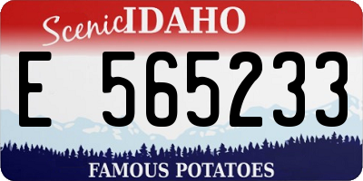 ID license plate E565233
