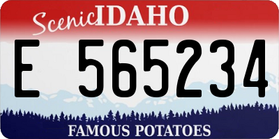 ID license plate E565234