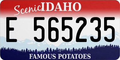ID license plate E565235