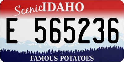 ID license plate E565236