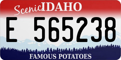 ID license plate E565238
