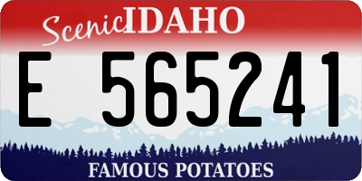 ID license plate E565241