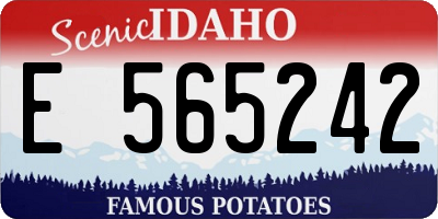 ID license plate E565242