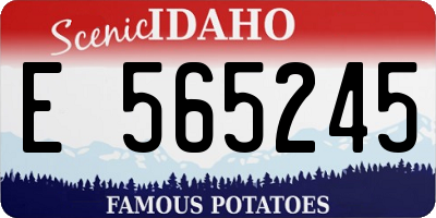 ID license plate E565245