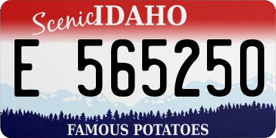 ID license plate E565250