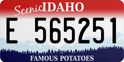 ID license plate E565251