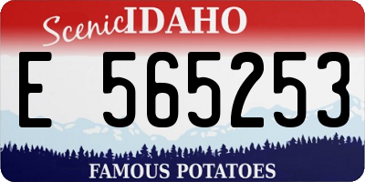 ID license plate E565253