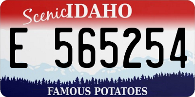 ID license plate E565254
