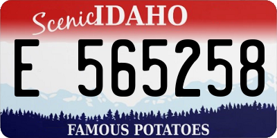 ID license plate E565258