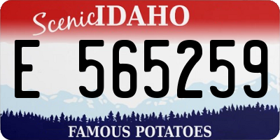 ID license plate E565259