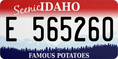 ID license plate E565260