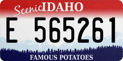 ID license plate E565261