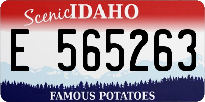 ID license plate E565263